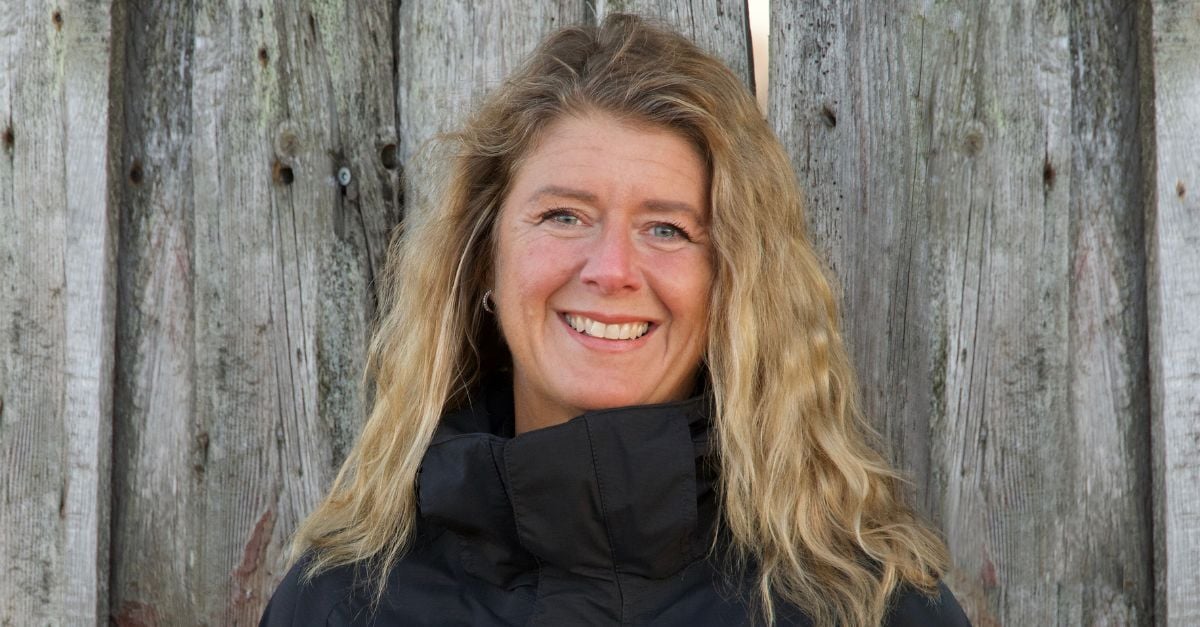 josefine rosenqvist, Taiga