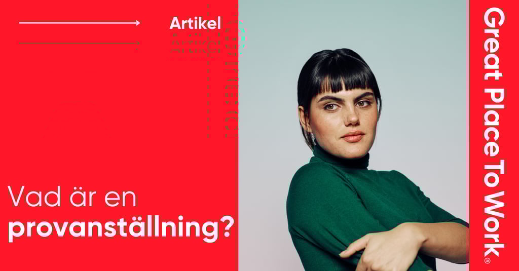 Vad är en provanställning?