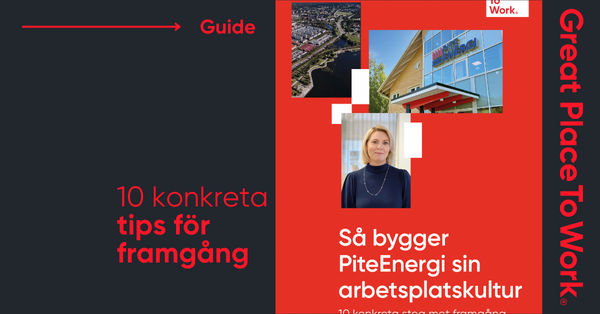 Guide PiteEnergi-landingssida