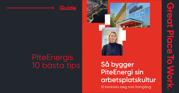 Guide piteenergi