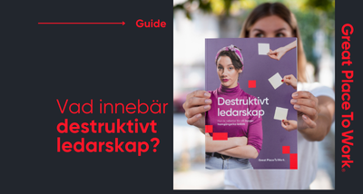 Guide destruktivt ledarskap