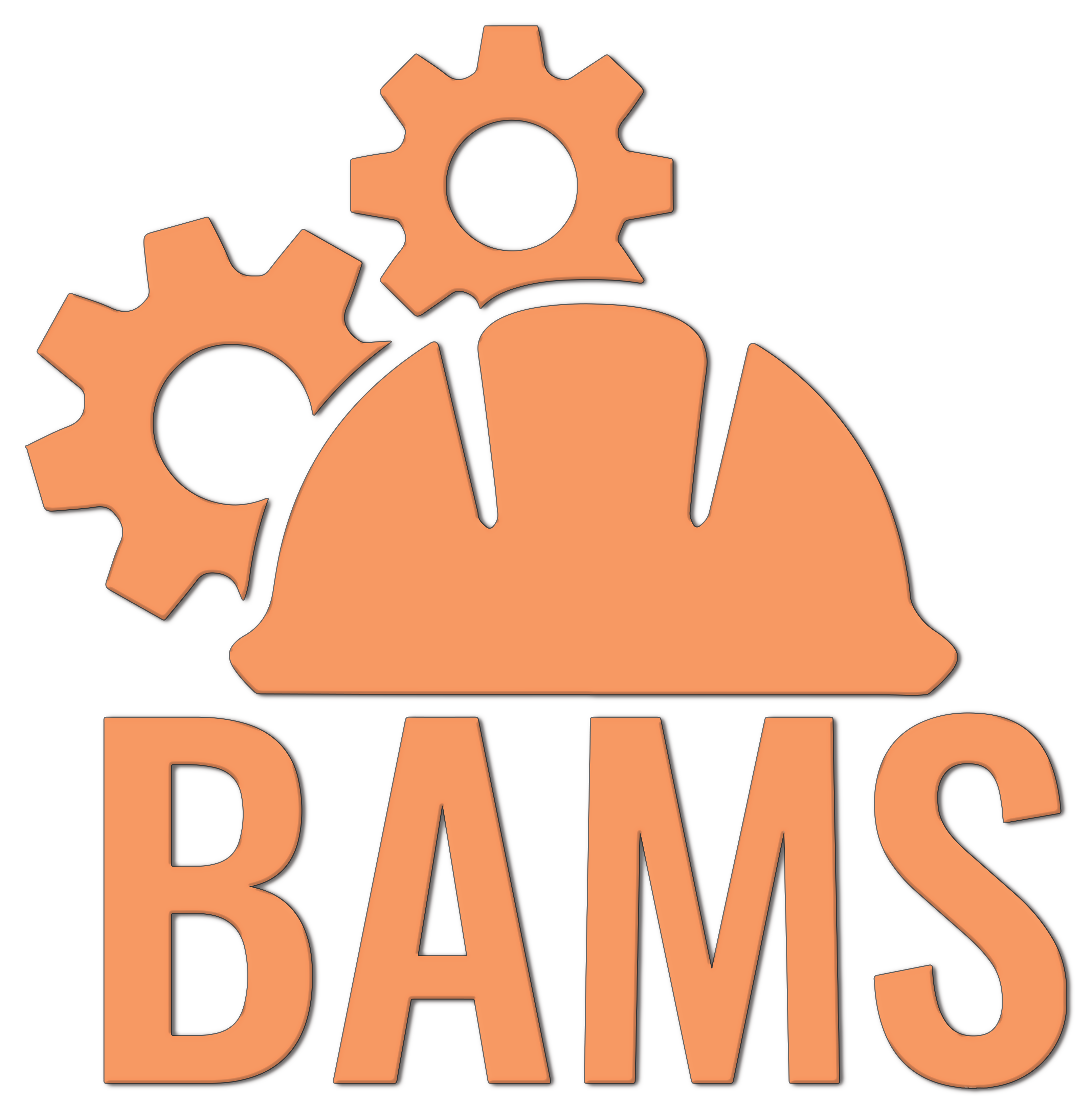 BAMS AB