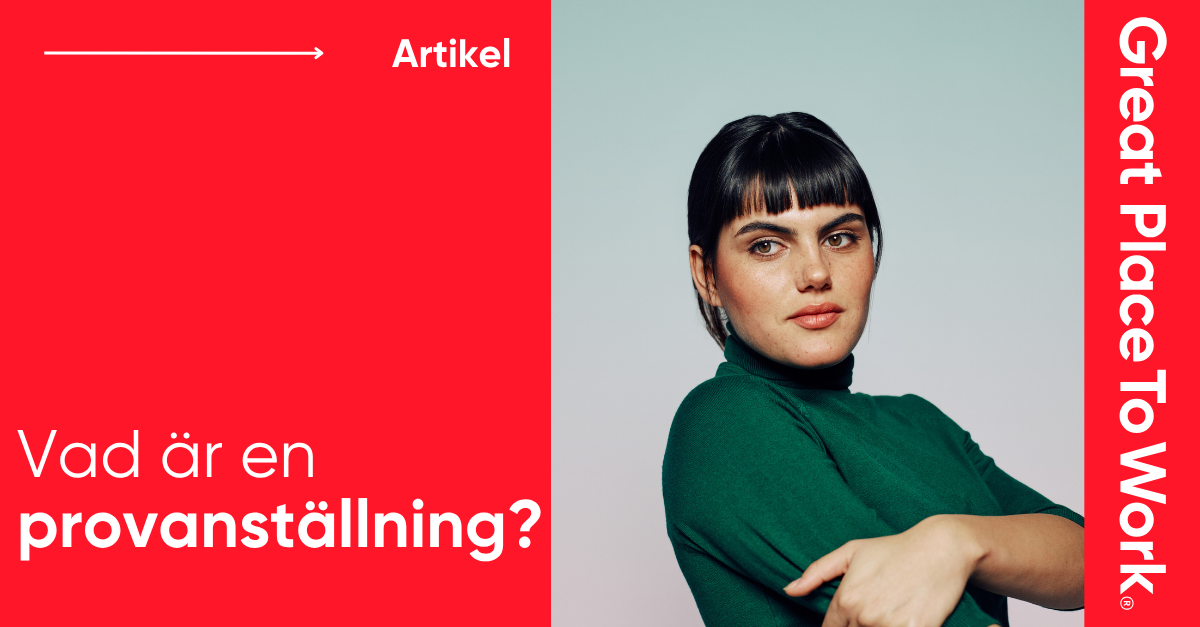 Vad är en provanställning?