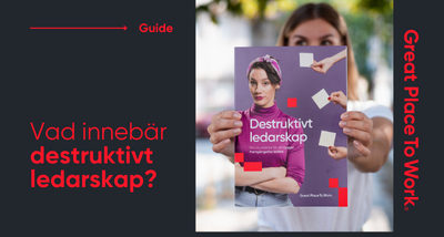 Vad innebär destruktivt ledarskap?
